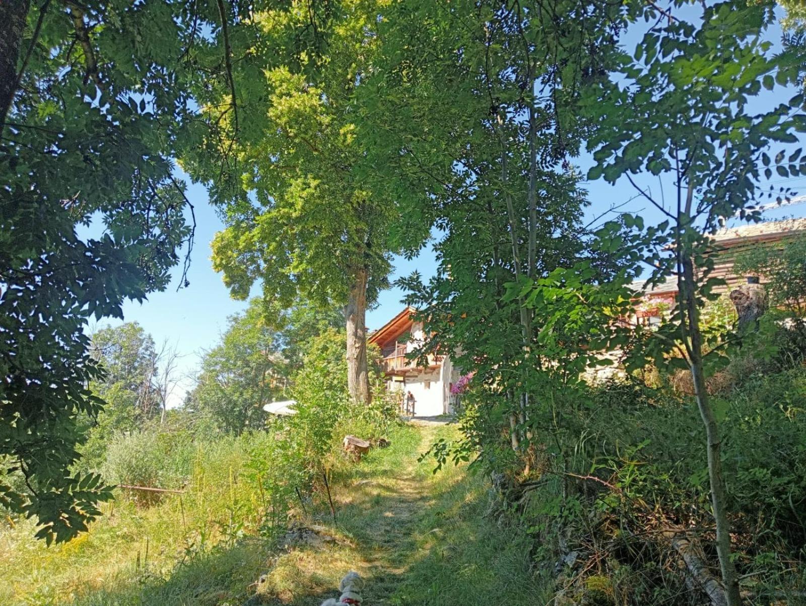 Home Sweet Home Antey-Saint-André Exteriér fotografie